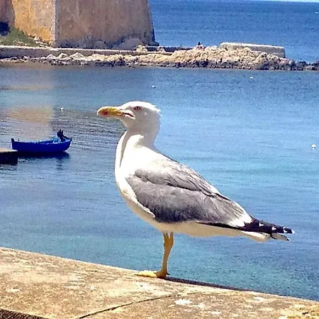 Lato Nord Il Giallo Vista E Accesso Mare Diretto